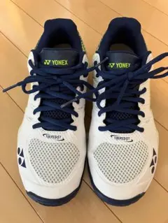 Item thumbnail for item 294f1fca-825e-41e8-9f07-2553c6fc232d