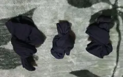 ネイビー ストッキング 3足セット