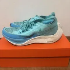 Item thumbnail for item c6ab469b-ee52-4d78-b9f9-b0422b092c2e