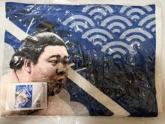藤ノ川 応援グッズ 小ブランケット (光)
