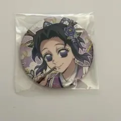 2025年最新】胡蝶しのぶ 辰年 缶バッジの人気アイテム - メルカリ