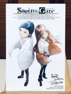 STEINS;GATE(シュタインズ・ゲート) figma2体セット 未開封新品 Amazon.co.jp: figma シュタインズ・ゲート 牧瀬紅莉栖 白衣ver