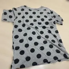インセクトコレクション レディース　Tシャツのサムネイル