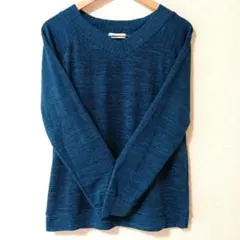 【未着用】 トップス (ＬＬ) 長袖　　Vネック 《薄手！》 ブルー系 ニット