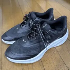 Item thumbnail for item b139dae3-7d29-486c-bcd4-44f78b2d5b2a