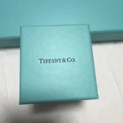 Tiffany & Co. ティファニー 空箱 巾着袋 セット - メルカリ