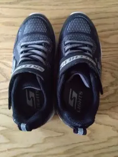 Item thumbnail for item 43abc2c8-d88f-4f91-950c-c330c3220058