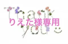 りえた様専用 梅干し中粒500g ×2 購入前にコメントくださいのサムネイル