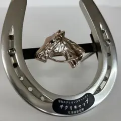 Item thumbnail for item 1f2a8cda-92c1-4afc-9d78-94771269d46a