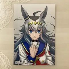 【非売品】ウマ娘 シンデレラグレイ5巻購入特典 イラストカード