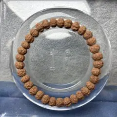 福ちゃん様専用ルドラクシャ　ブレスレット　10-185