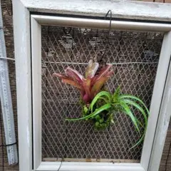 SORA♡今は購入専門です❤︎様 リクエスト 3点 まとめ商品