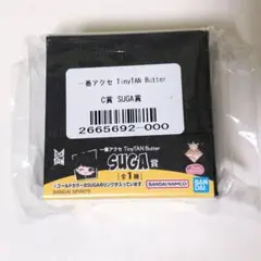 Item thumbnail for item 15c9456c-acc8-44ba-8758-aefcdd75a905