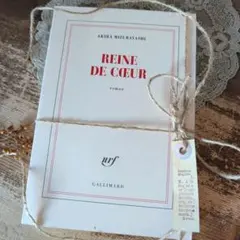 B099 フランスアンティーク 洋書 ペーパーバック インテリア ブロカント
