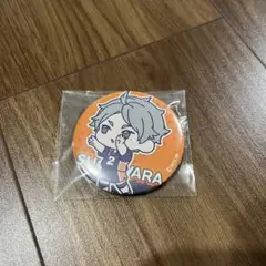 ハイキュー!! 菅原孝支 缶バッジ
