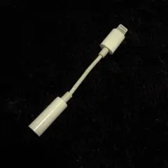 Apple純正　イヤホンジャック 3.5mm 変換アダプタ