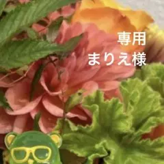 専用ページ まりえ様