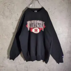 Item thumbnail for item 75428f5a-f5b2-4310-8121-bd329ff48550