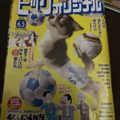 ビックコミックオリジナル11号 - メルカリ