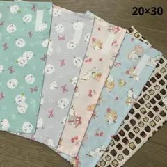 大人気 ランチョンマット シマエナガ ネームタグ付き 20×30 5枚セット