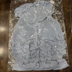 Item thumbnail for item 28419b81-2a11-41ff-9274-ba852daf62e8