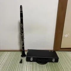 Item thumbnail for item 69703178-5009-4c7e-bee1-f58d4de4beb1