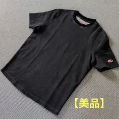 a779a【人気のLサイズ】ディーゼル ビッグロゴ 刺繍 希少カラー T 