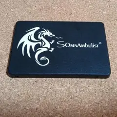 ジャンク品 SomnAmbulist H650 2TB