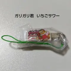 ガリガリ君 25周年記念 純銀製 シルバーアイススティック - メルカリ