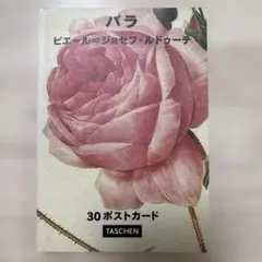 バラ ポストカード 30枚 TASCHEN タッシェン 2026年最新】タッシェン ポストカードの人気アイテム - メルカリ
