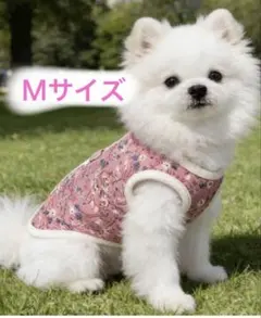 Item thumbnail for item 3f2e4c52-96a8-42a4-9e35-a99e1d542bb3