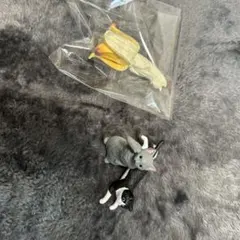 Item thumbnail for item 2d38a6ca-b469-440b-9fc7-edd1ed7e9340