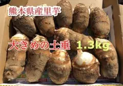 熊本県産里芋1.3kg