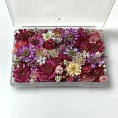 Item thumbnail for item 3ace8f6e-3c55-43ea-96ee-0b43b7f6ab73