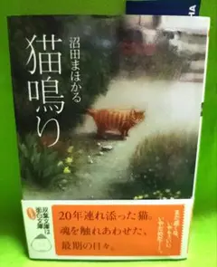 Item thumbnail for item 49e63b1f-80bd-41b5-950d-2aca0661d167