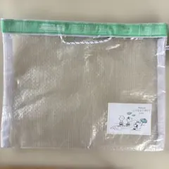 PEANUTS LIFE &TIMES PE FLAT CASE A5