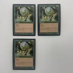 MTG 　リバー・ボア　日本語　ビジョンズ　旧枠　黒枠　3枚　まとめ