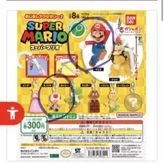 スーパーマリオ めじるしアクセサリー2 マリオ&キノピオ