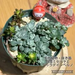 ゆぅ(⁠^⁠^⁠)様 リクエスト 3点 まとめ商品