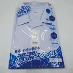 Item thumbnail for item d3581cf6-1e3a-4fd3-a94c-de5d5e2e0c50