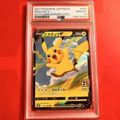 PSA10 GEM MINT ピカチュウV 020/028 RR 25th