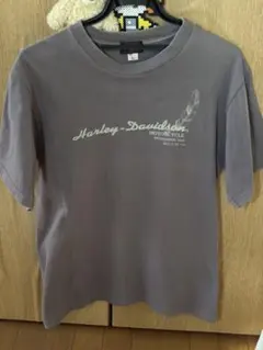 Item thumbnail for item c7ebfc32-d5d8-4238-bbf2-735953382c6d