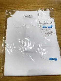 Item thumbnail for item feb75329-9fd3-4b15-8180-d8c7f3cf0431