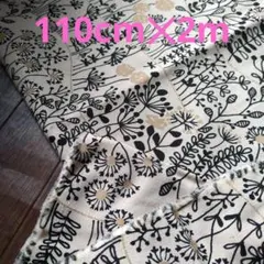 Item thumbnail for item 9bf58eeb-ccb1-4fe9-8396-b840f88443fe