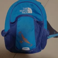 THE NORTH FACE 青色リュック 鳥の刺繍