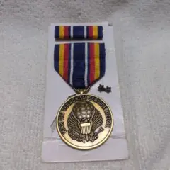 アメリカ軍放出品 記章 ウォーオンテロリズムサービスメダル 略綬付き