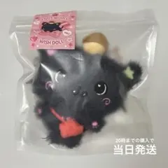 쿠리 クリ wish doll nctwish リク