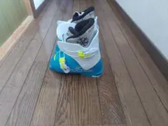 Item thumbnail for item c9a5bd24-6608-4b19-9469-912f2e6cc90d