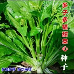 Michinoku_Aqua様 リクエスト 4点 まとめ商品