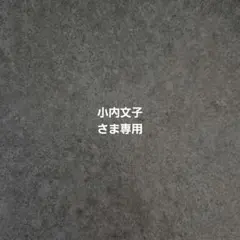 小内文子さま専用